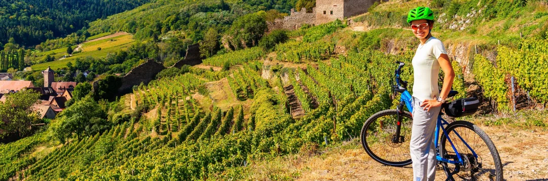 Tour à vélo et dégustation de vin