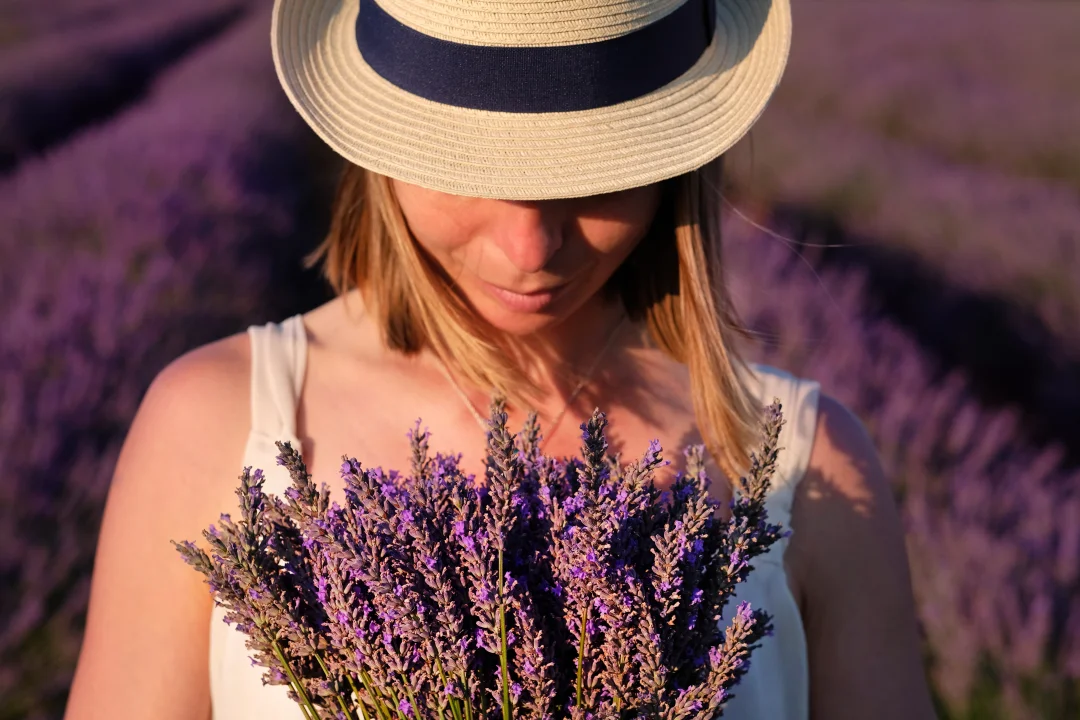 LAVENDEL